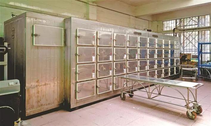 这里就是深圳市殡仪馆的防腐车间9名固定"管家",一年365天轮班服务