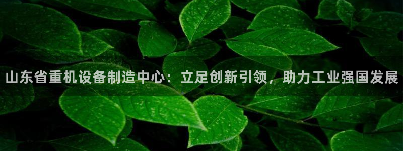 威九国际官网登录入口