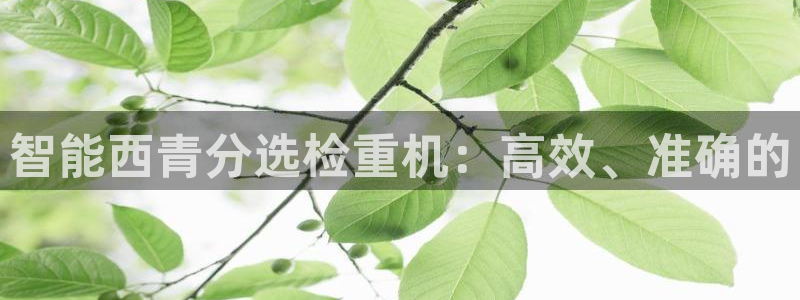 威九国际66m入口