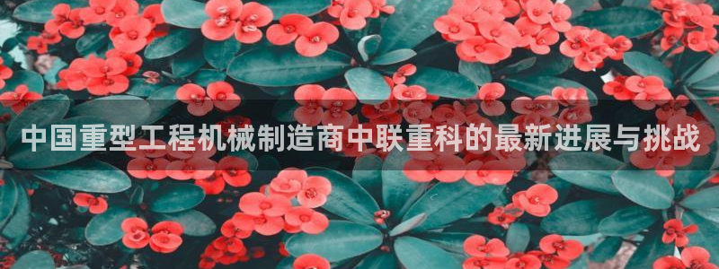 威九国际后爸