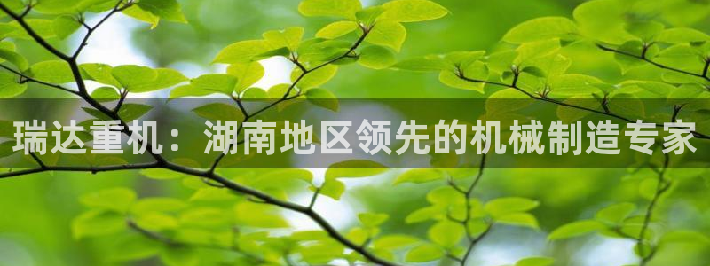 威九国际清砖码