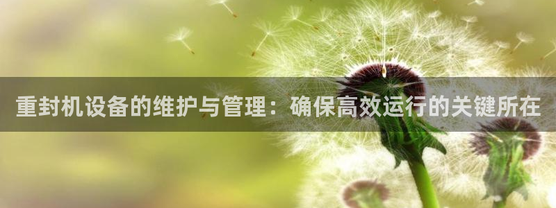威九国际小广告
