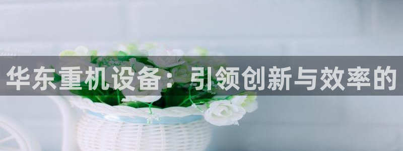 威九国际网站游戏