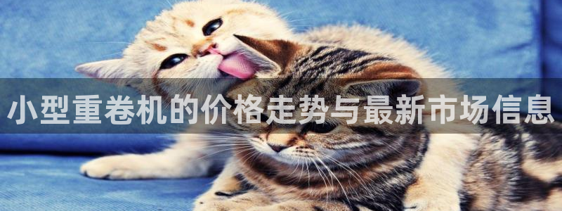 78mapp威九国际官网版