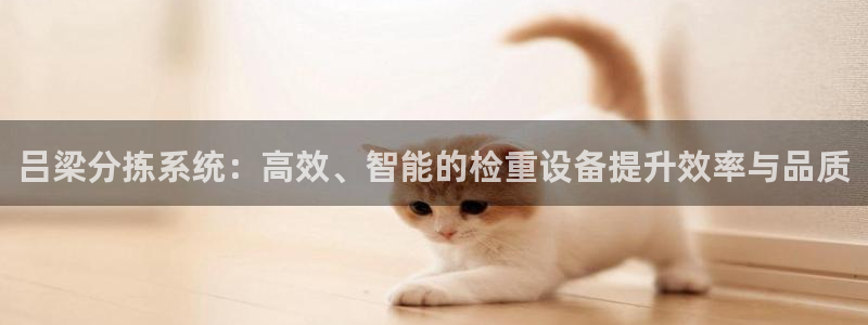 威九国际电视怎么样