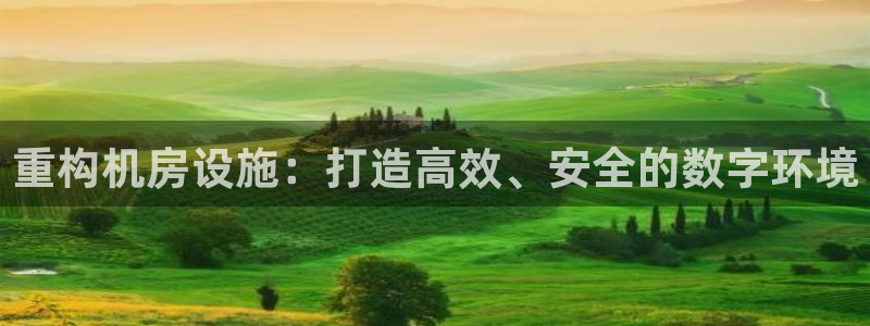 威九国际78