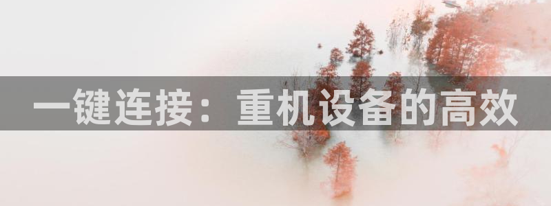威九国际旗下艺人