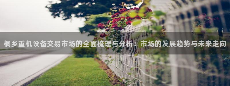 威九国际网站客服电话多少号