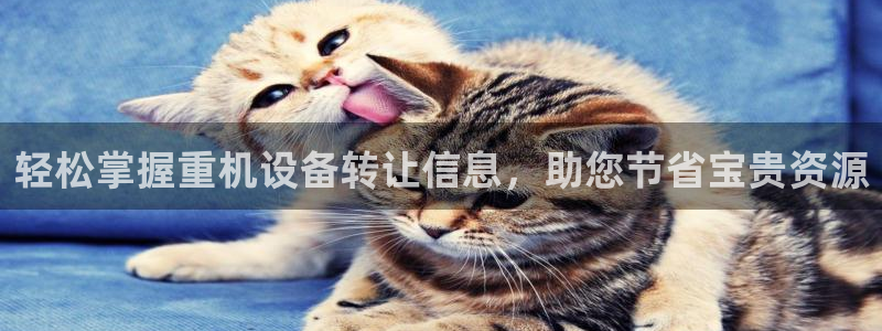 威九国际66m66官网