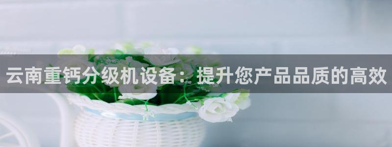 威九国际vA9618