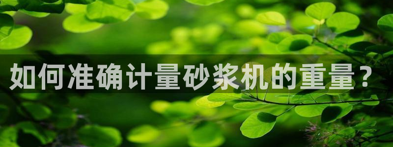 威九国际电视