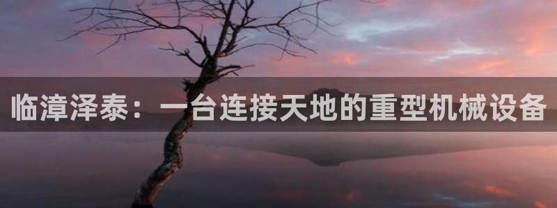 威九国际78m-MBA智库百科