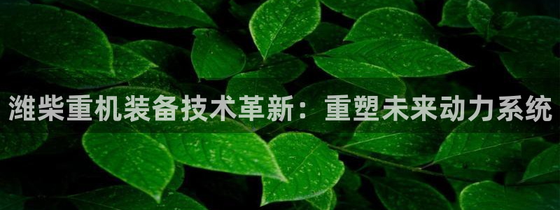 威九国际网站入口地址