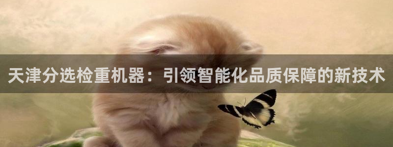 威九国际app网站官网