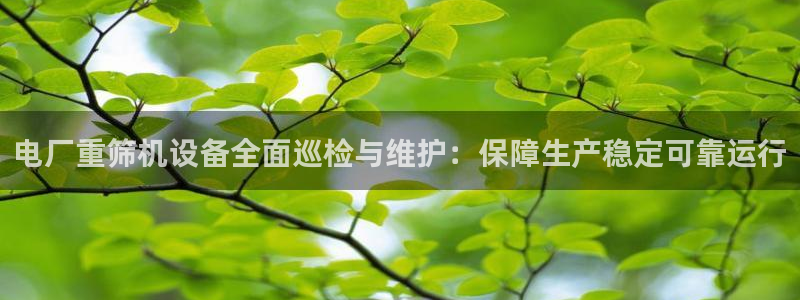 威九国际78mb游戏：电厂重筛机设备全面巡检与维护：保障生产