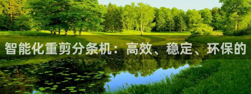 威九国际网站人入口：智能化重剪分条机：高效、稳定、环保的
