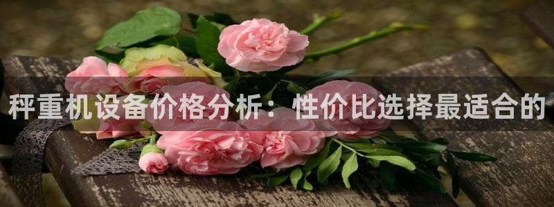 威九国际体育：秤重机设备价格分析：性价比选择最适合的