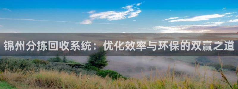 威九国际服：锦州分拣回收系统：优化效率与环保的双赢之道