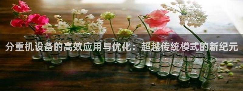 威九国际软件