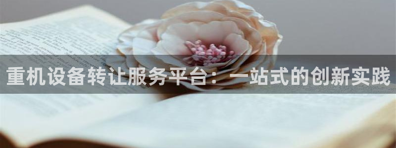 威九国际地址：重机设备转让服务平台：一站式的创新实践
