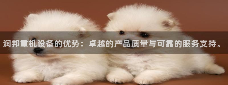 78mapp威九国际官网版：润邦重机设备的优势：卓越的产品质