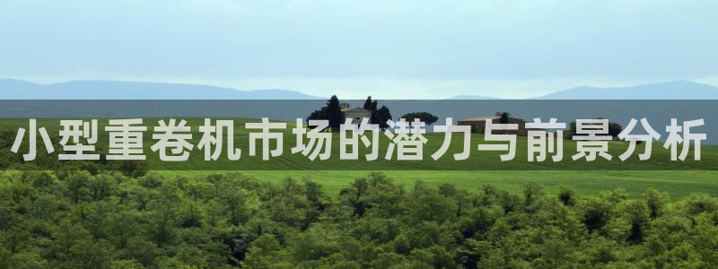 威九国际官网版：小型重卷机市场的潜力与前景分析