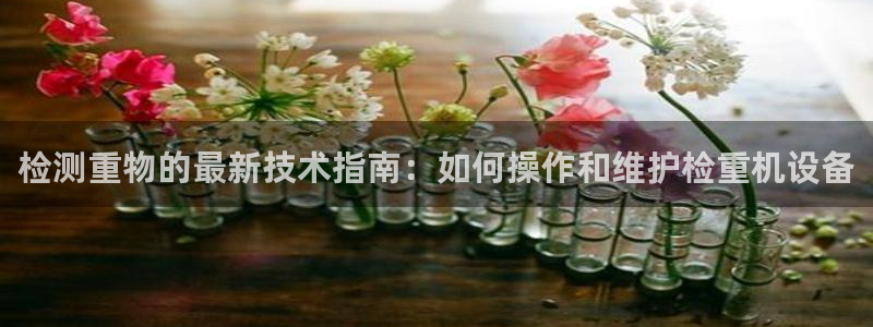 78mapp威九国际网页版：检测重物的最新技术指南：如何操作