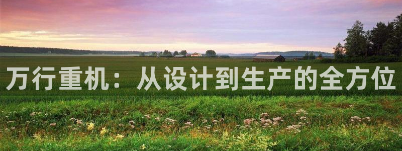 威九国际EVA：万行重机：从设计到生产的全方位