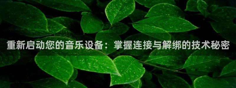 威九国际网站入口官网首页登录：重新启动您的音乐设备：掌握连接