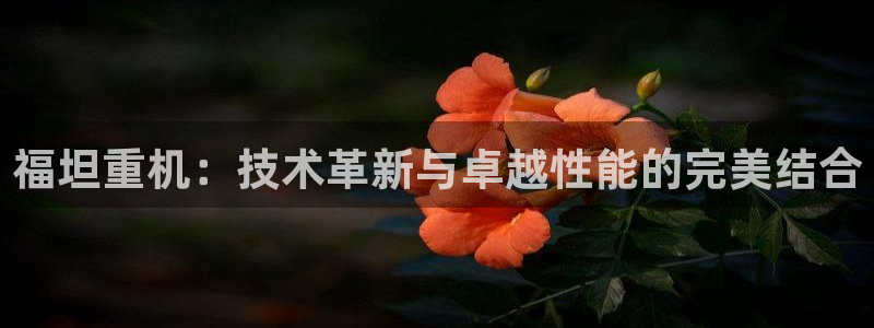 威九国际78mb42：福坦重机：技术革新与卓越性能的完美结合