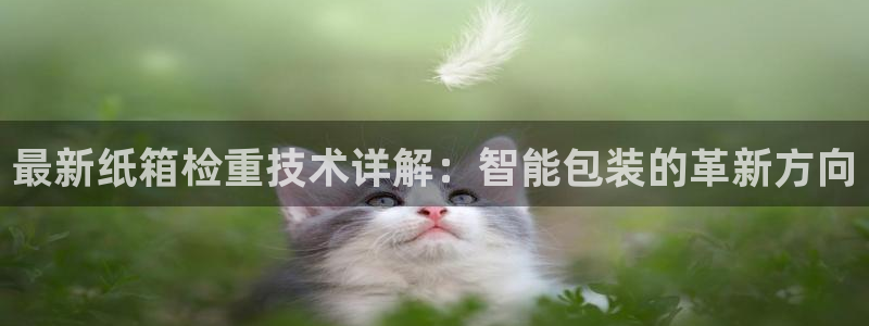 威九国际女儿的朋友：最新纸箱检重技术详解：智能包装的革新方向