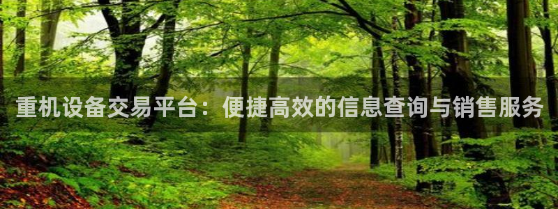 威九国际女演员名单介绍：重机设备交易平台：便捷高效的信息查询