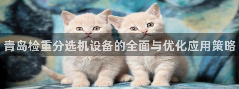 威九国际网站入口官网首页登录：青岛检重分选机设备的全面与优化