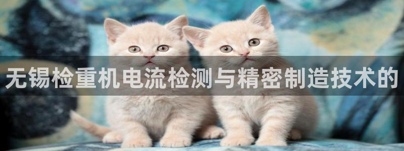 威九国际网站下载：无锡检重机电流检测与精密制造技术的