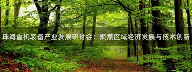 威九国际78m78下载：珠海重机装备产业发展研讨会：聚焦区域