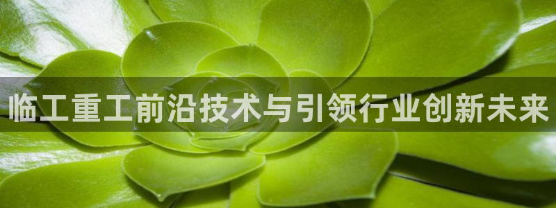 威九国际top：临工重工前沿技术与引领行业创新未来