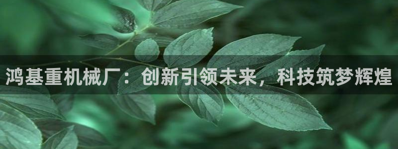 威九国际官网登录入口网站：鸿基重机械厂：创新引领未来，科技筑