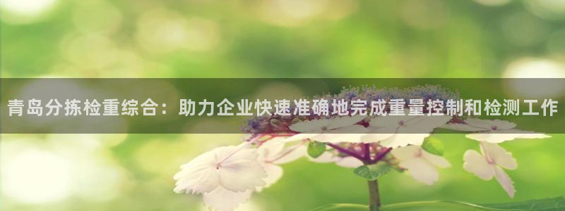 威九国际78mb游戏：青岛分拣检重综合：助力企业快速准确地完