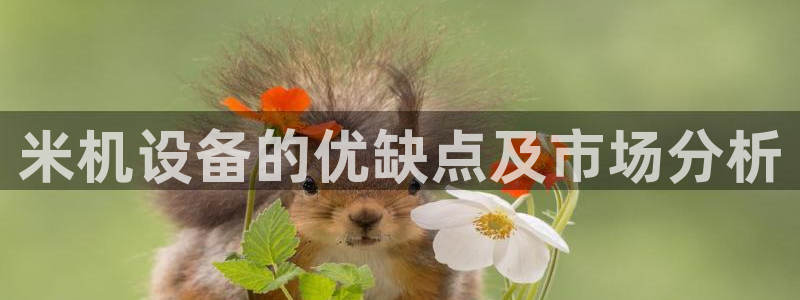 威九国际v96bet下载