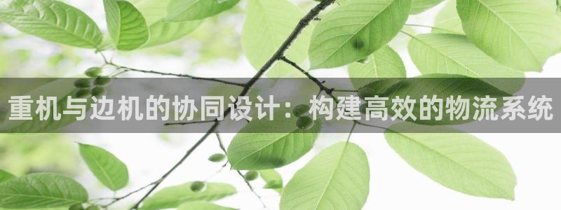 威九国际空降服务女演员名字