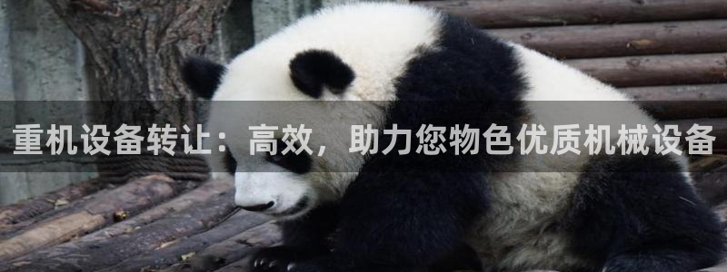 威九国际游戏网站