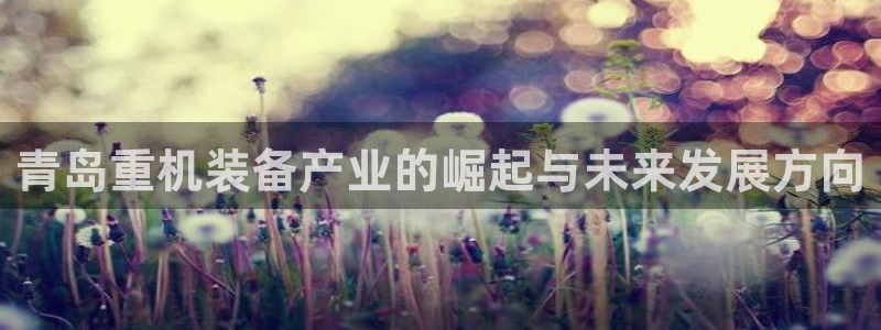 威九国际的金融服务怎么样