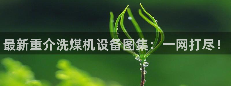 威九国际游戏app(网站)