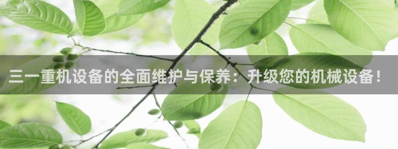 威九国际网站入口地址在哪里