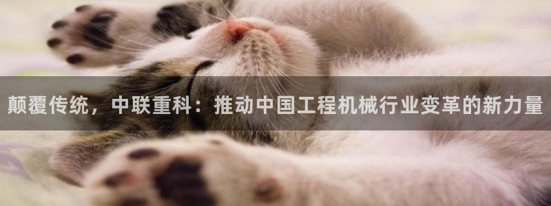 威九国际免费网络站