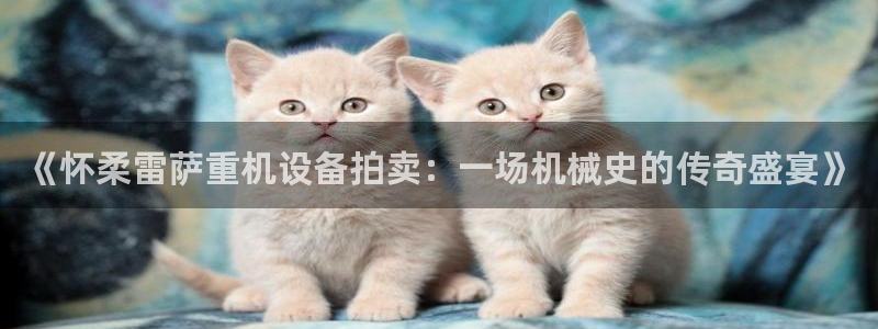 威九国际入口一