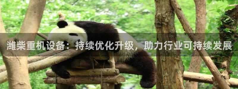 威九国际网站客服电话多少号