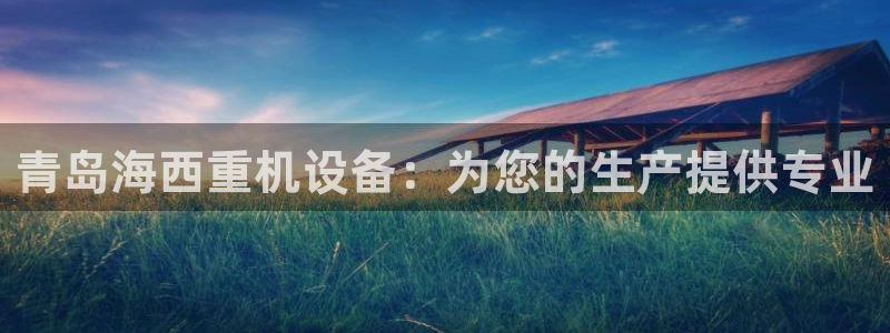 威九国际官网登录入口网站