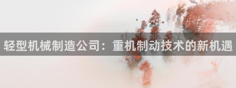 威九国际精甜心诗词网彩片甜心网甜心诗词网：轻型机械制造公司：