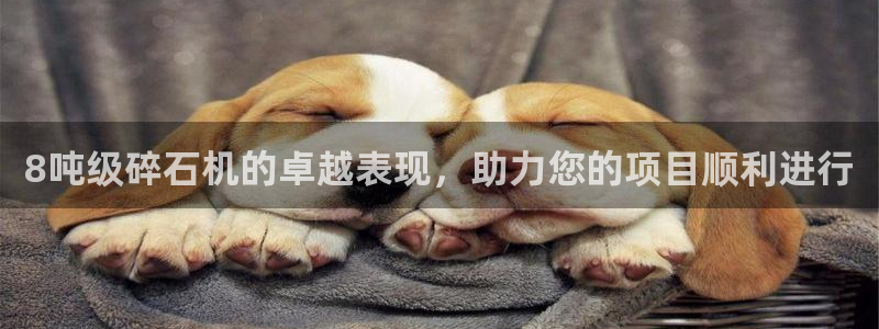 威九国际女儿的朋友：8吨级碎石机的卓越表现，助力您的项目顺利